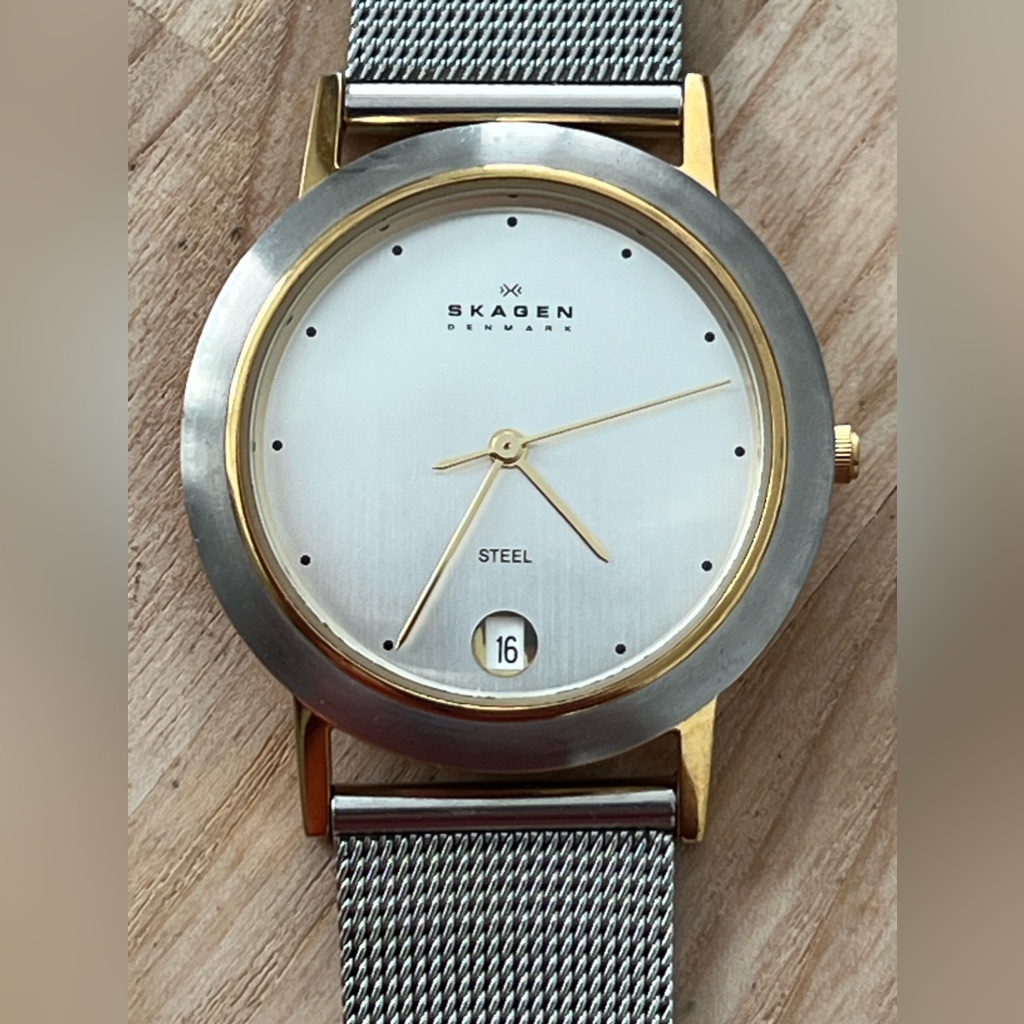 Skagen Steel Watch Silver Dial Date Window Adjustable Stainless Mesh Bracelet